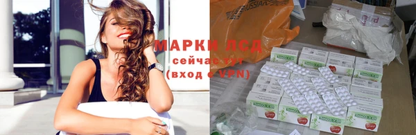 трава Беломорск