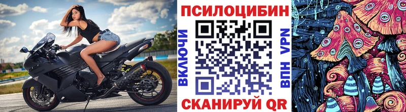 Псилоцибиновые грибы Psilocybe  Самара 